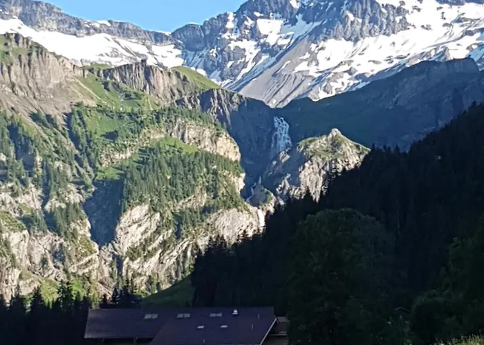 Fellacher * Adelboden