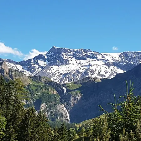 Fellacher Çiftlik konaklama Adelboden